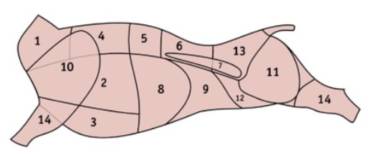 Rind – Beschreibung der Teilstücke